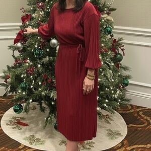 Zara Wine Long Sleeve Ribbed Dress